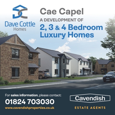 New Homes To Be Released At Cae Capel
